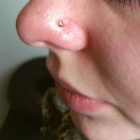 images/galerie/piercing/piercing011.jpg