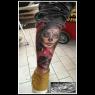 images/galerie/showroom/IMG_8313.jpg